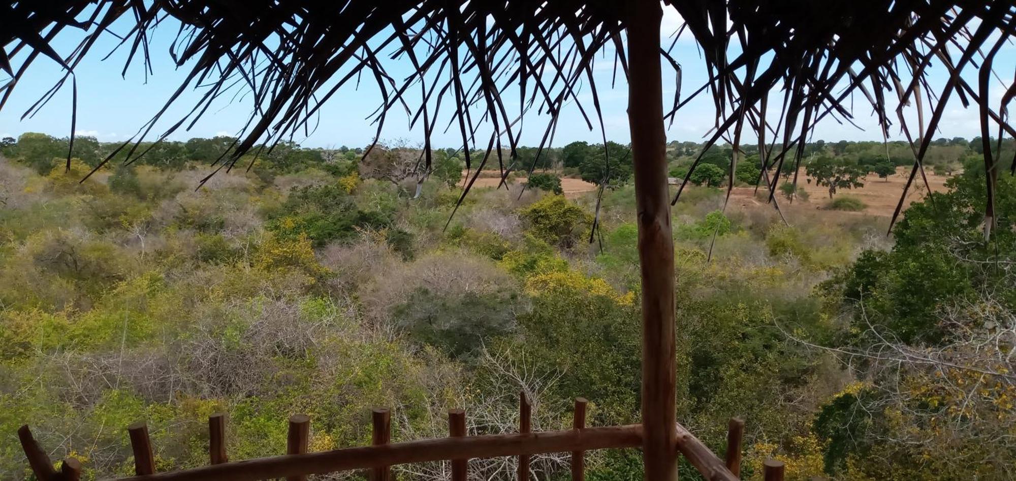 Mamba Yala Hotel Tissamaharama Bagian luar foto