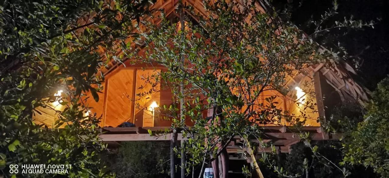 Mamba Yala Hotel Tissamaharama Bagian luar foto