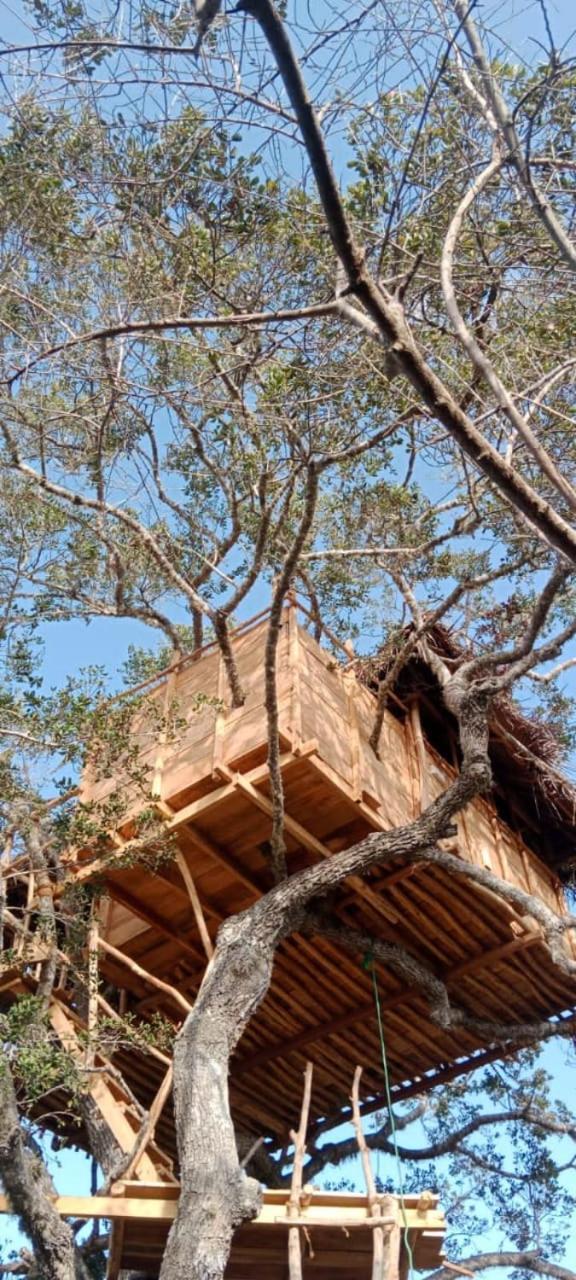 Mamba Yala Hotel Tissamaharama Bagian luar foto