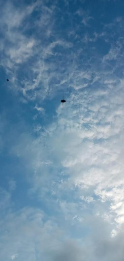 Mamba Yala Hotel Tissamaharama Bagian luar foto