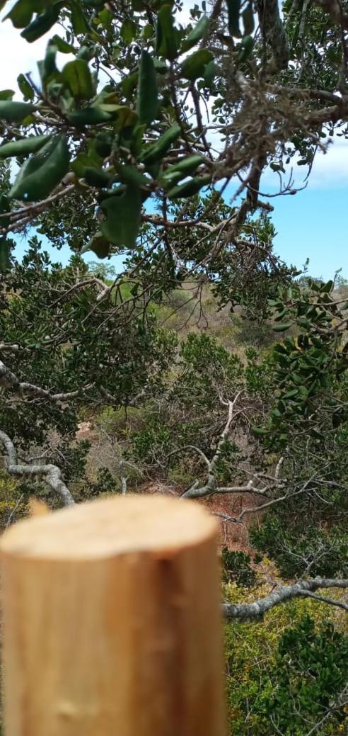 Mamba Yala Hotel Tissamaharama Bagian luar foto
