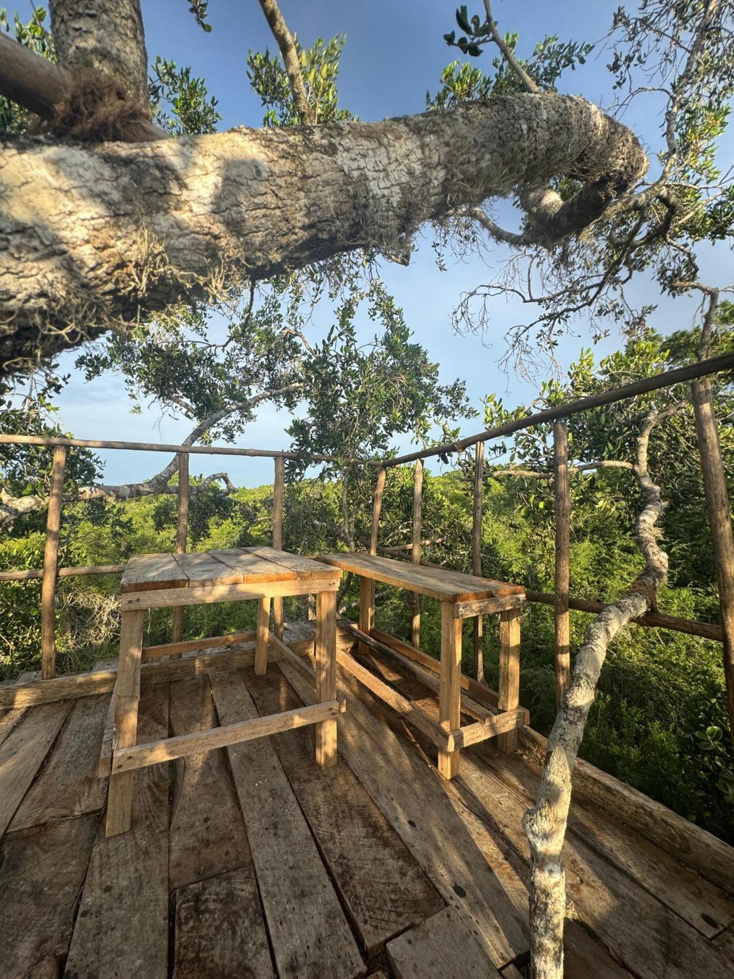 Mamba Yala Hotel Tissamaharama Bagian luar foto